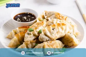 grosir gyoza